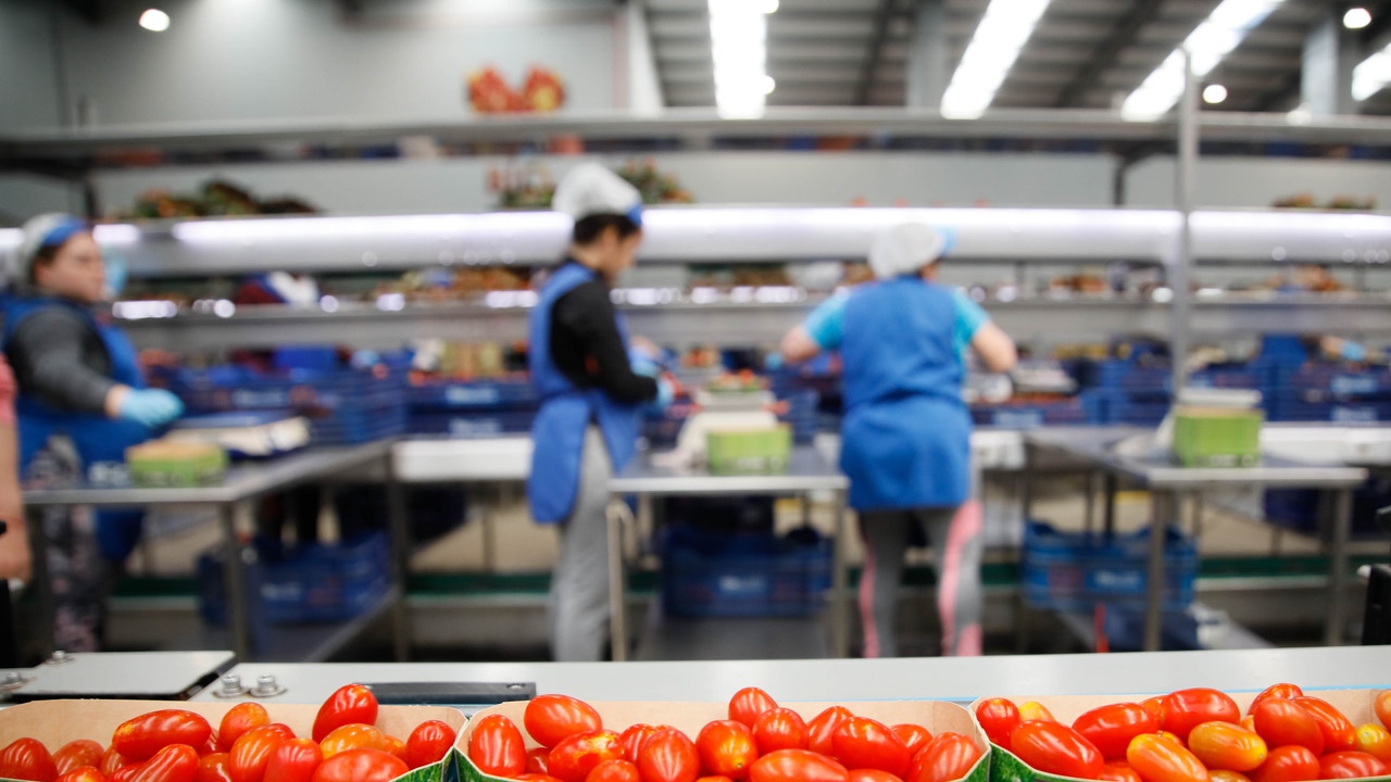 Agricultores, sindicatos, ecologistas y consumidores comparecen en la Cámara por la nueva norma de impulso a la producción ecológica