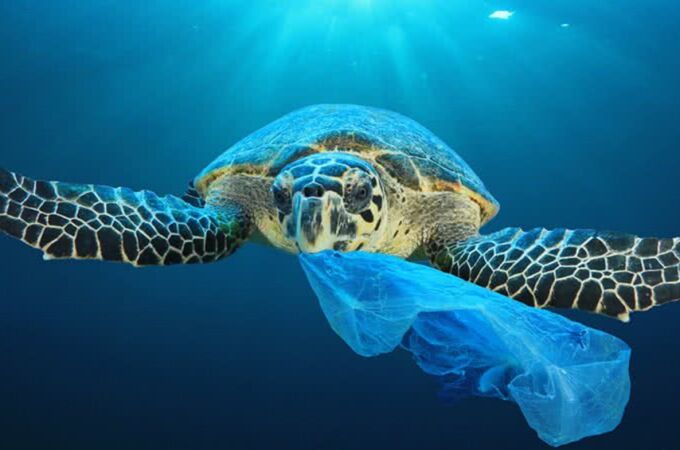 El 3 de julio, se celebra el Día Internacional Libre de Bolsas de Plástico con el objetivo de frenar su utilización.