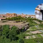 La localidad soriana de Ágreda y el entrenador del Real Madrid, Xabi Alonso