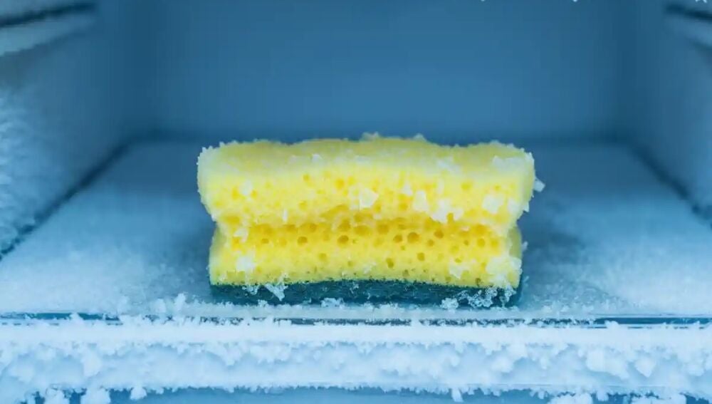 Por qué se recomienda meter la esponja de fregar en el congelador antes de usarla