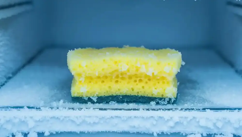 Por qué se recomienda meter la esponja de fregar en el congelador antes de usarla