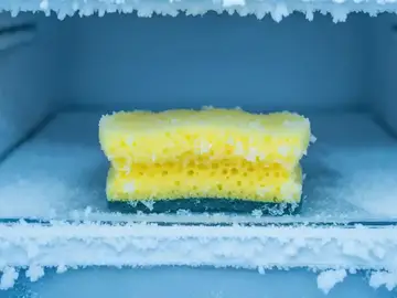 Por qué se recomienda meter la esponja de fregar en el congelador antes de usarla Por qué se recomienda meter la esponja de fregar en el congelador antes de usarla