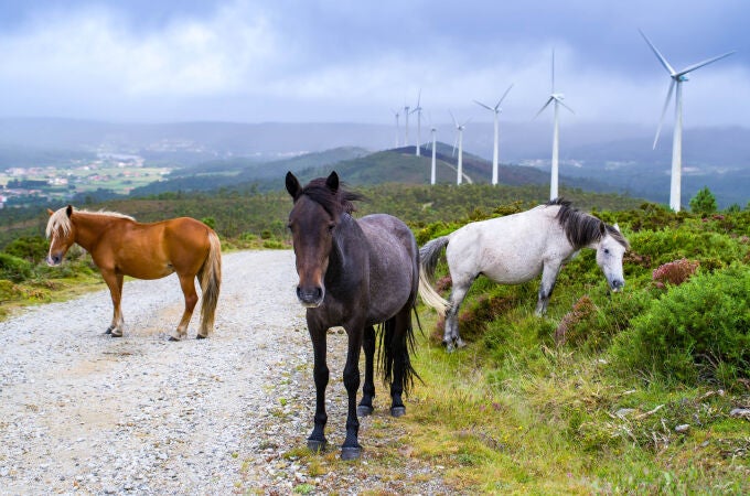 Parque eólico en Monte Redondo, Galicia