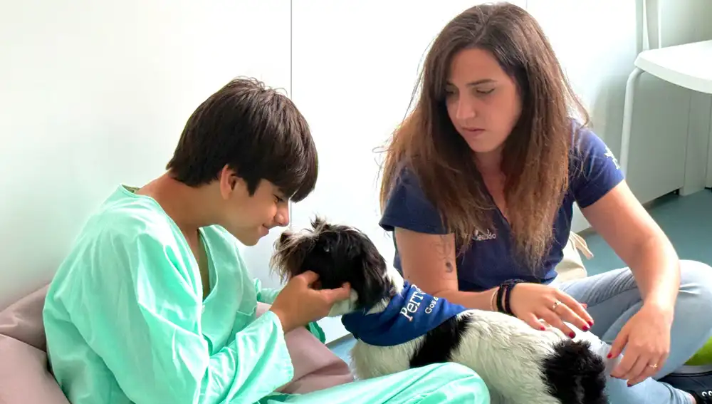 Cada viernes, los pacientes participan en sesiones de terapia asistida con perros