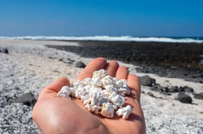 Turismo sin dejar huella y sin llevarse lo que no se debe Turismo sin dejar huella y sin llevarse lo que no se debe
