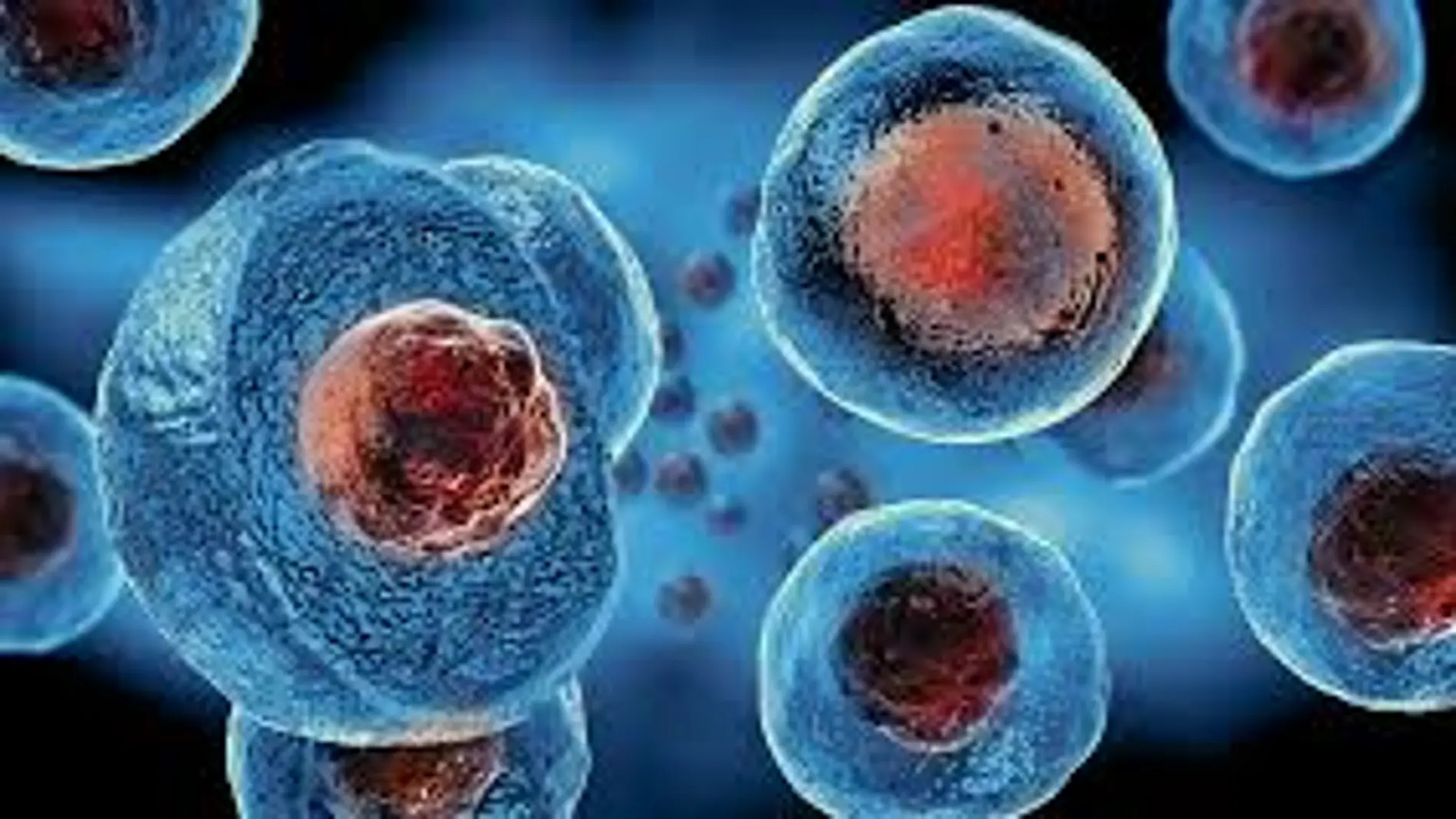 "Es como una nueva vida": el tratamiento con células madre que está curando la diabetes tipo 1 y podría cambiarlo todo