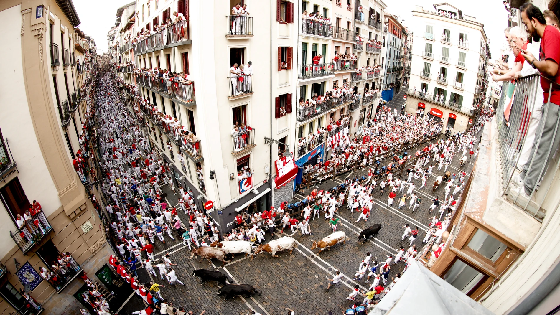 PAMPLONA, 07/07/2025.- Los mozos son perseguidos por toros de la ganadería gaditana de Fuente Ymbro durante el primer encierro de los Sanfermines 2025, este lunes en Pamplona. EFE/ Jesús Diges