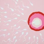 Ni carne, ni bebidas: el esperma será lo próximo que crecerá en laboratorios