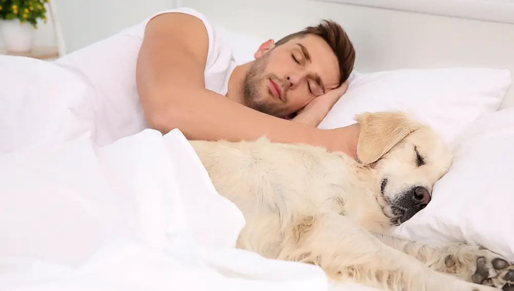 La ciencia lo confirma: dormir con tu perro baja el cortisol y aumenta la oxitocina