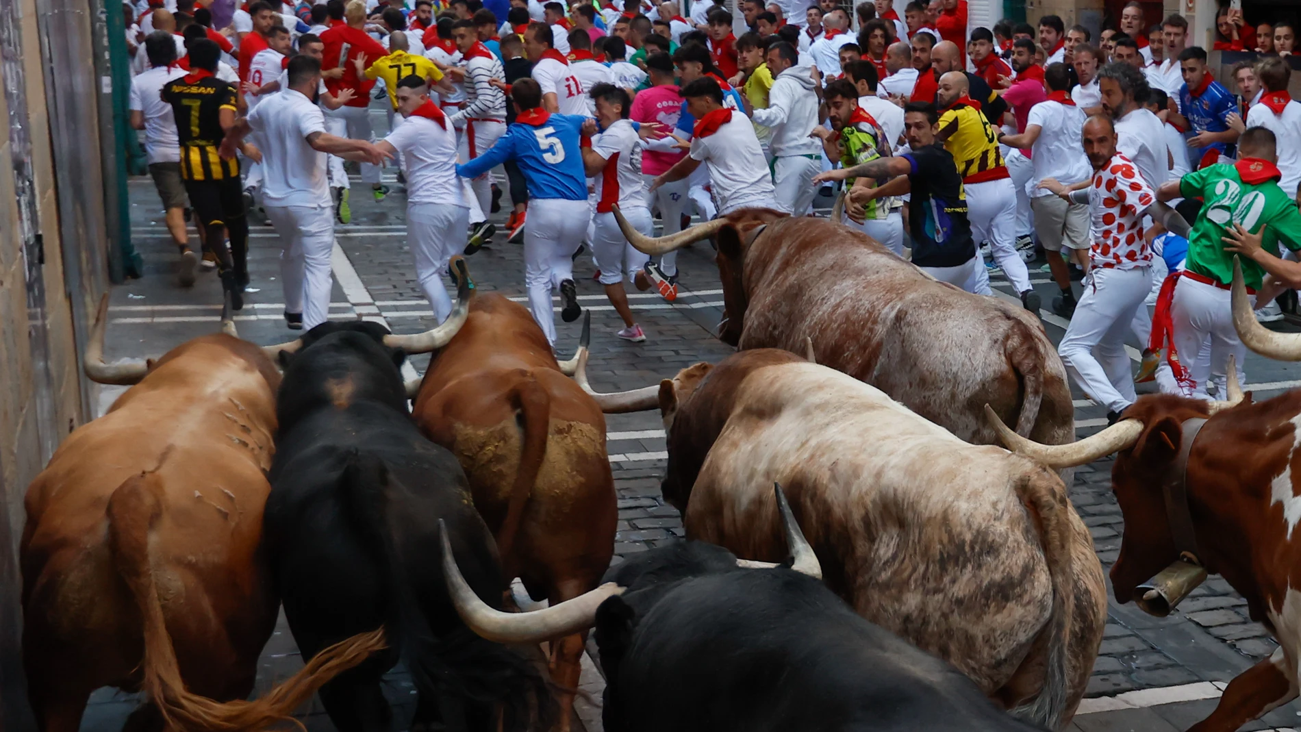 PAMPLONA, 10/07/2025.- Los mozos son perseguidos por los toros de la ganadería Victoriano del Río Cortés durante el cuarto encierro de los Sanfermines, este jueves, en Pamplona. EFE/Jesús Diges