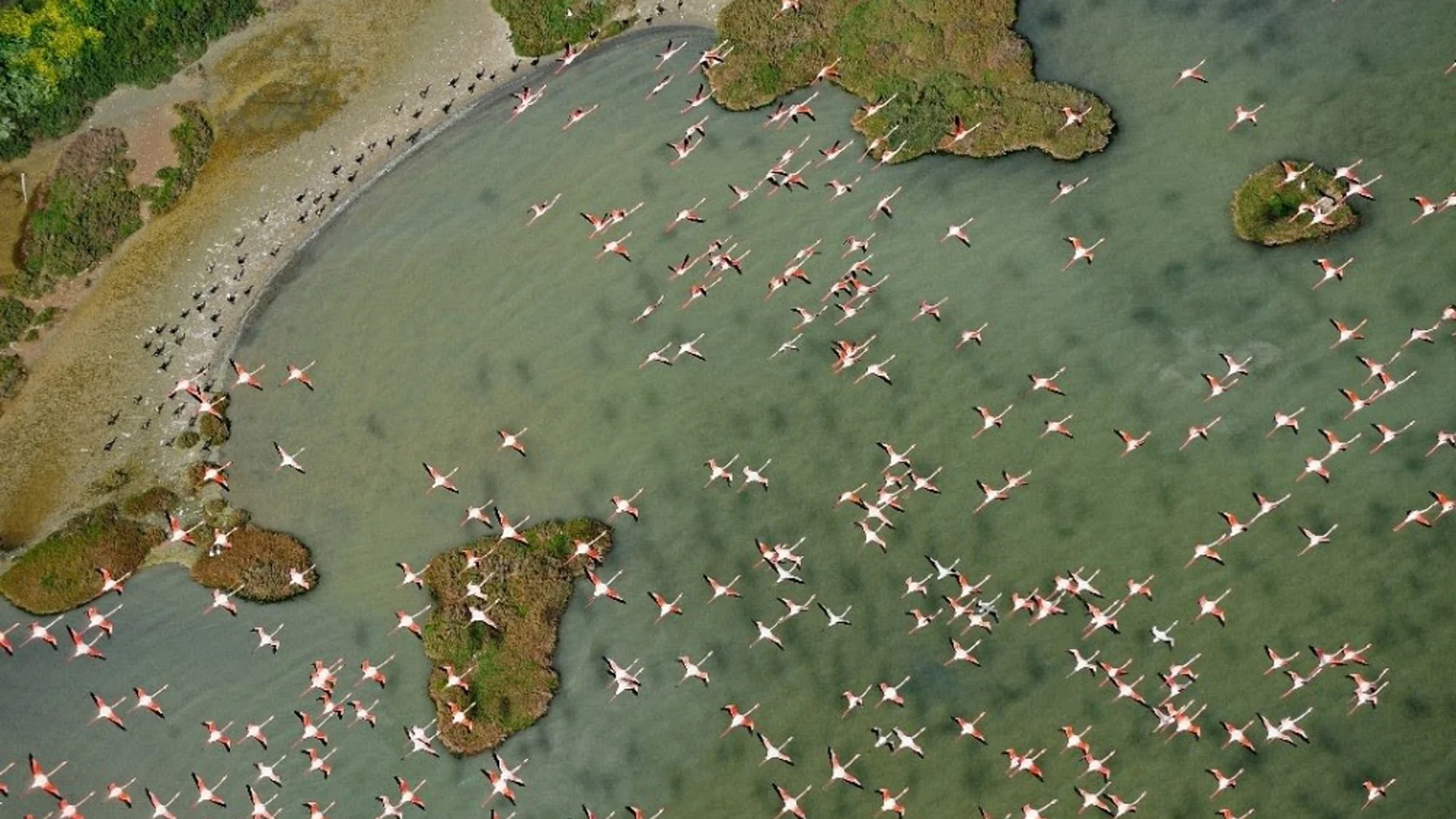 Unesco urge a España tome medidas para que el acuífero de Doñana no entre en la Lista del Patrimonio en Peligro