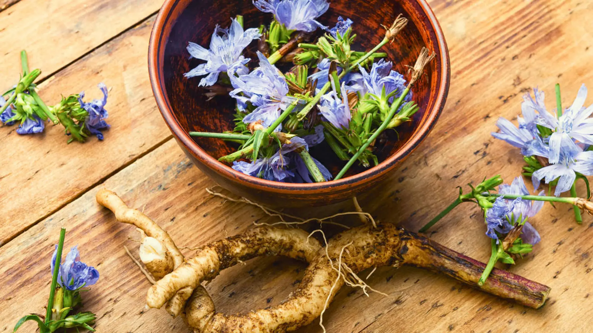 La planta que usaban los romanos para reducir la temperatura corporal y mejorar la digestión en verano