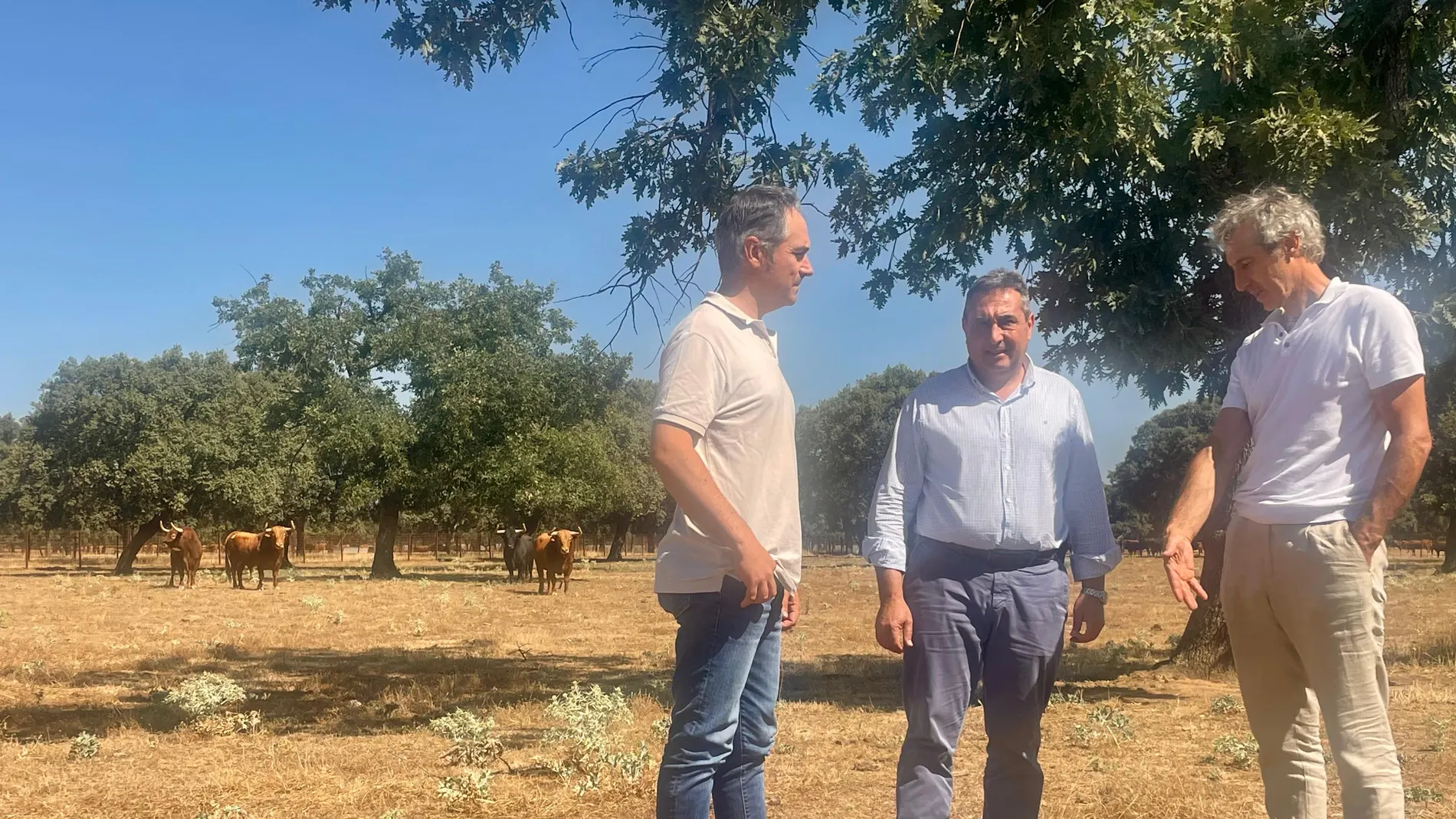 El director del Itacyl, Rafael Sáez, visita la finca ‘Pedraza de Yeltes’, ubicada en la localidad salmantina de Castraz