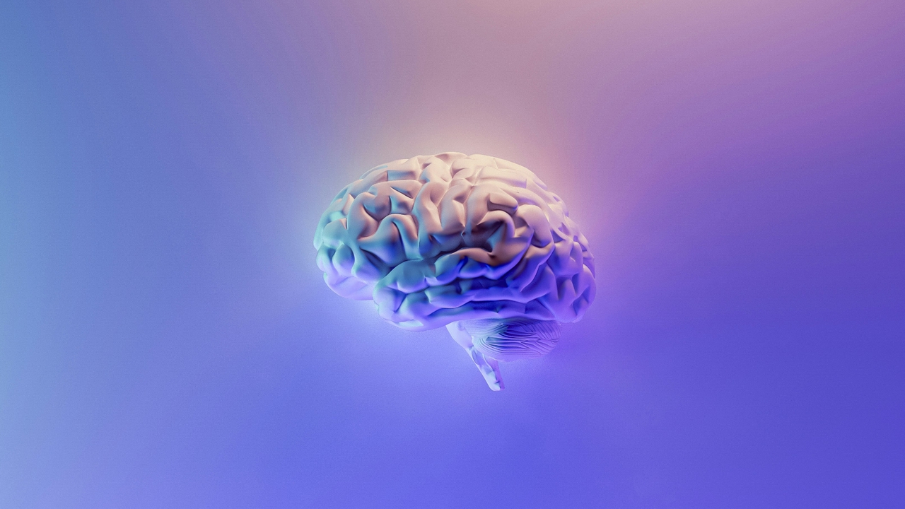La dieta influye en el envejecimiento cerebral