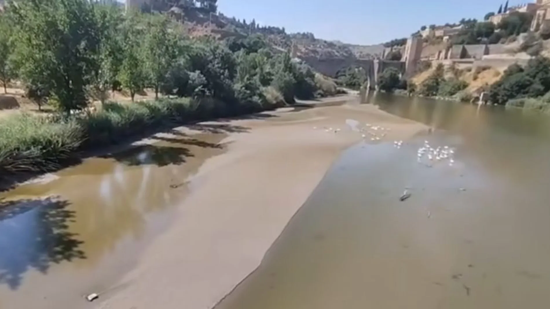 Estado del Río Tajo a su paso por Toledo en las últimas horas.