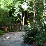 Los 3 árboles frutales que son ideales para jardines pequeños este verano