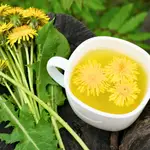 Infusión de tusilago