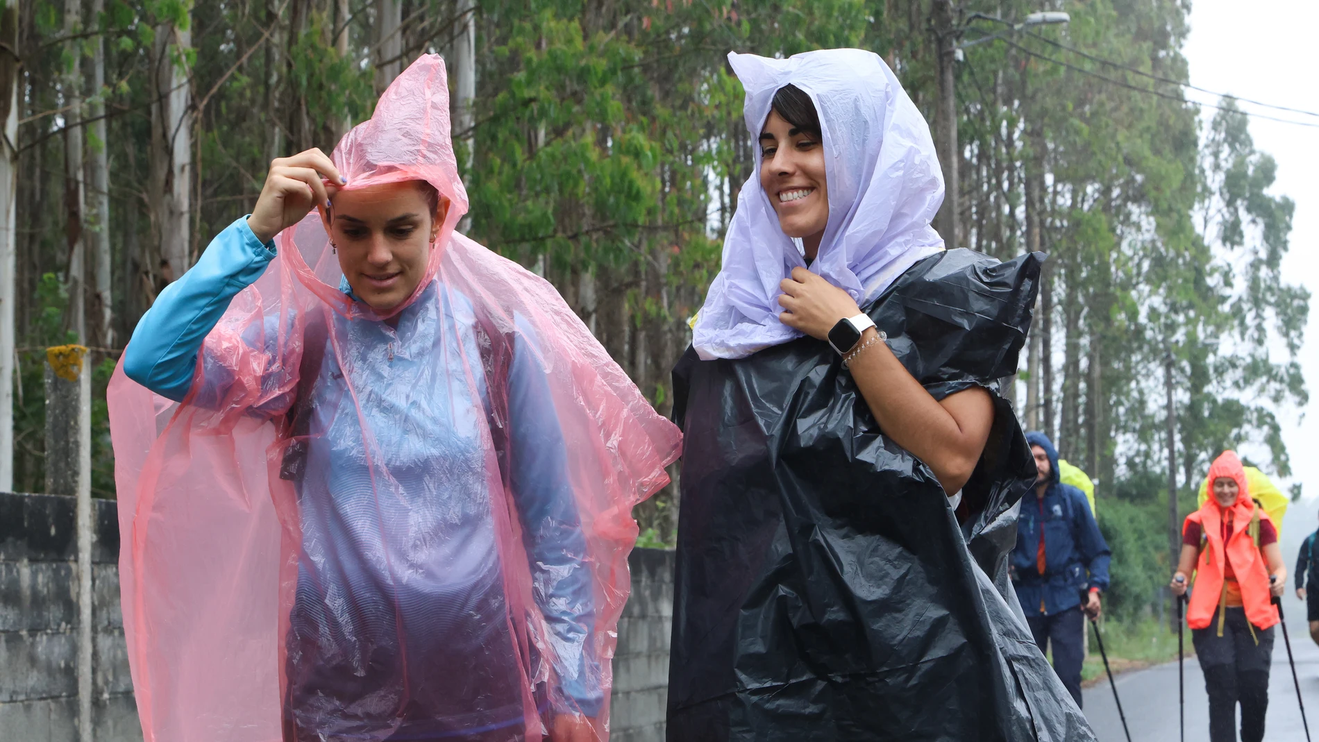 SANTIAGO DE COMPOSTELA, 11/07/2025.- Peregrinos recorren el Camino Francés, protegidos de la lluvia, este viernes antes de su llegada a Santiago de Compostela. EFE/ Xoán Rey.
