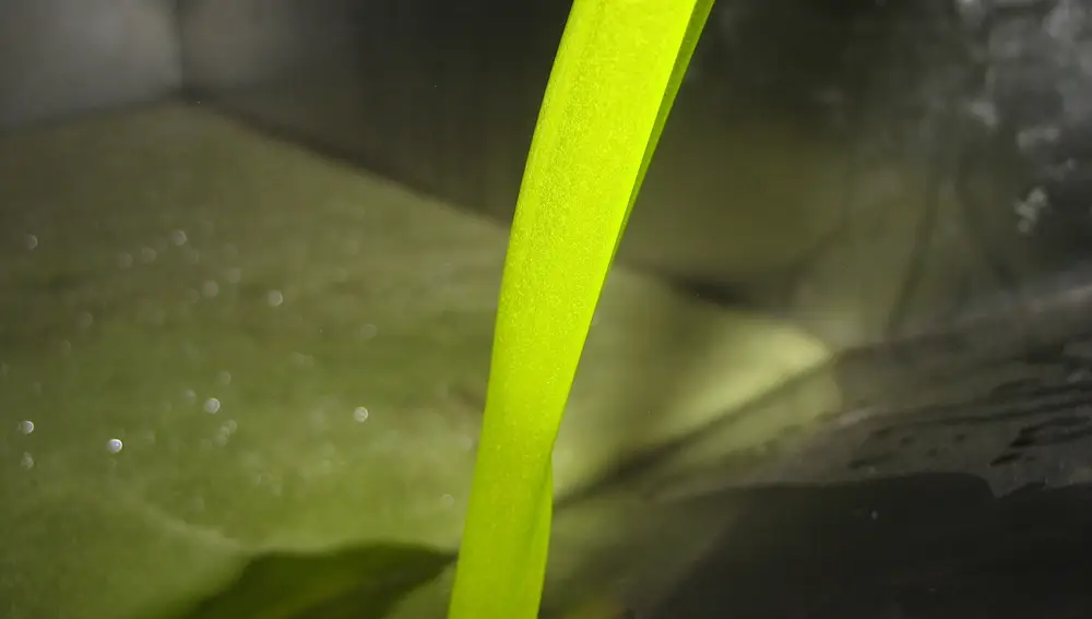 Jaén.- Cooperativas abogan por ultimar el mecanismo de retirada de aceite de oliva para evitar desequilibrios