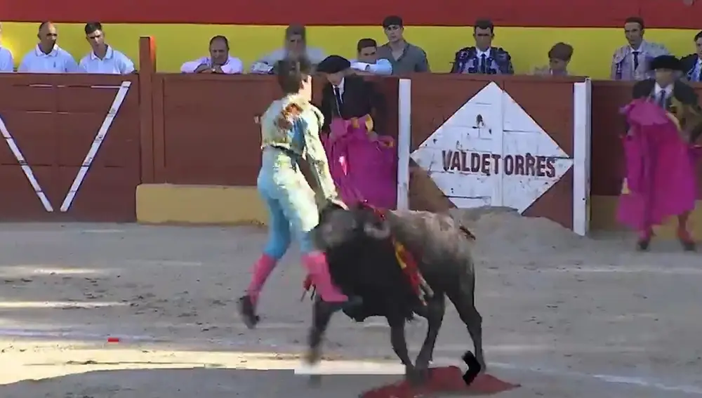 Pánico en Valdetorres del Jarama, gravísima cornada a Sergio Rollón que afecta arteria y vena femoral