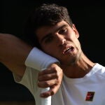 Wimbledon Championships 2025 - Day 14