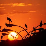 Este martes descenderán las temperaturas en La Rioja