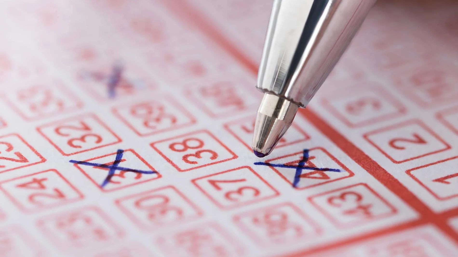 Lotería de Navidad en La Pastoreta: ilusión y soluciones para empresas