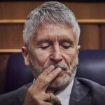 El ministro del Interior, Fernando Grande-Marlaska