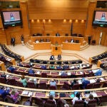 Pleno extraordinario del Senado