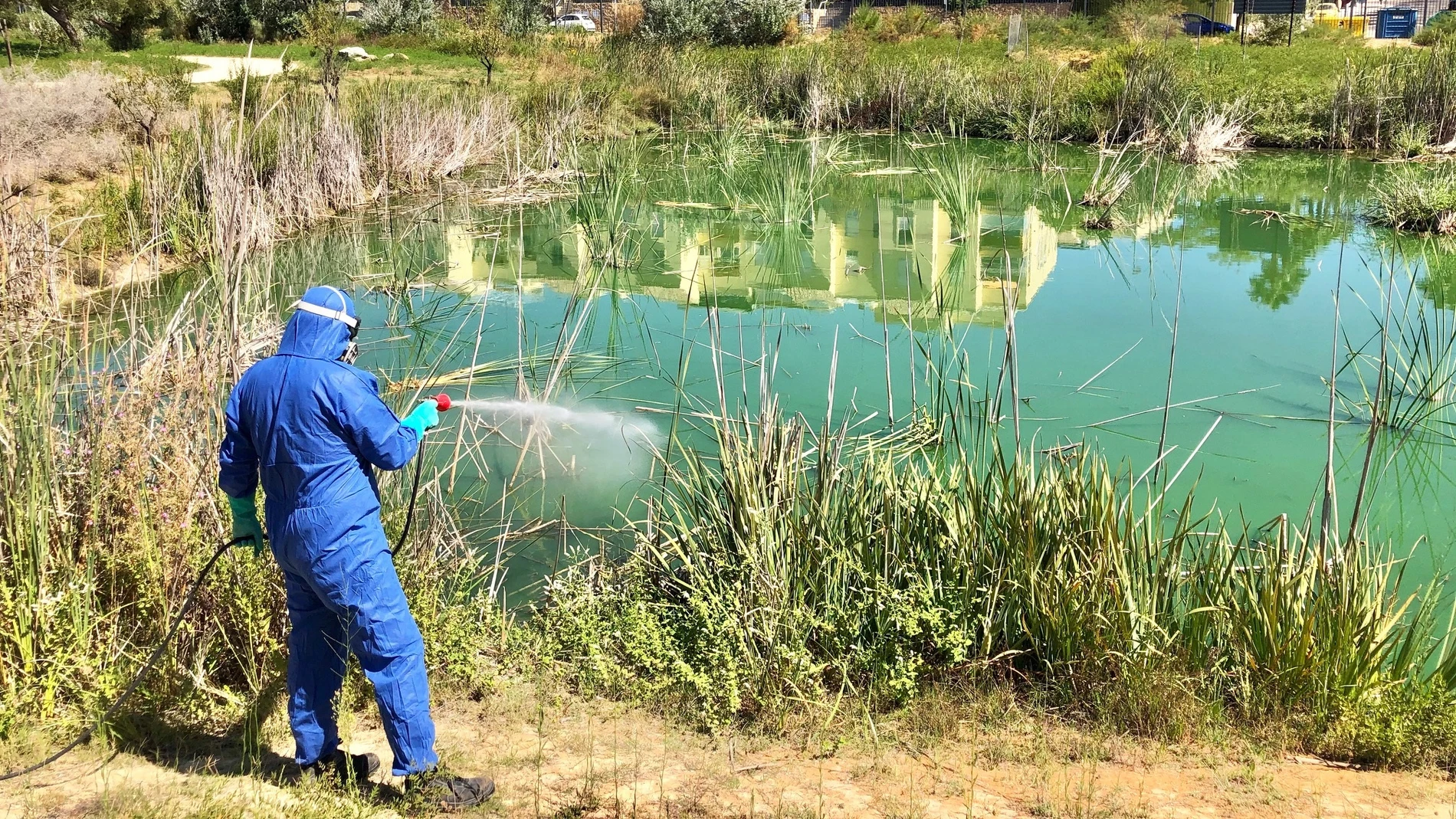 Fumigación contra el virus del Nilo