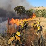 Labores de ataque directo en el incendio por bomberos forestales de la Comunidad de Madrid junto a la BRIF de la Iglesuela