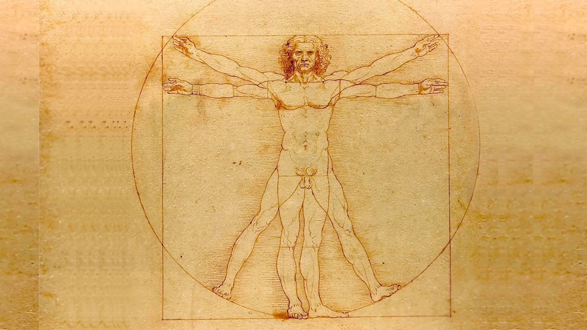 Hombre de Vitruvio - Leonardo da Vinci