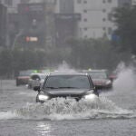 Typhoon Wipha makes landfall in China's Hainan province