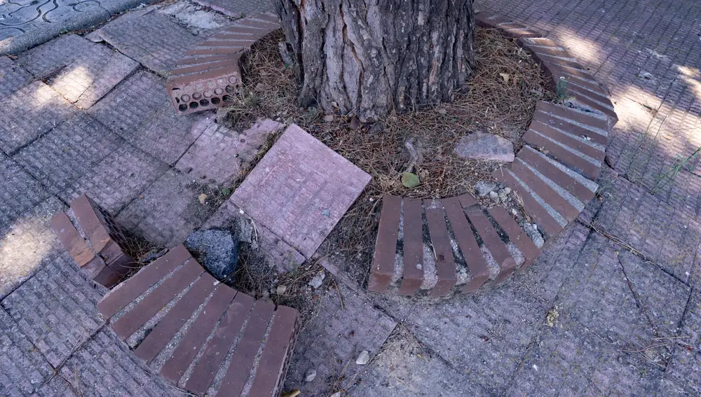 Vecinos de Campo add-on en Alcorcón. Recogen firmas para anexionarse a Villaviciosa de Odón.
