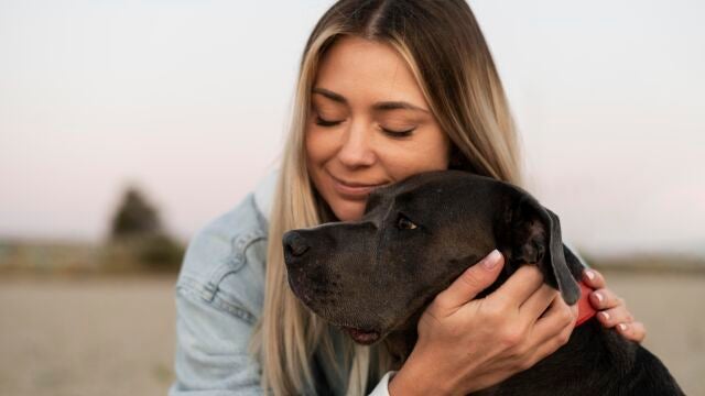 ¿Qué significa acariciar perros en la calle, según la psicología?