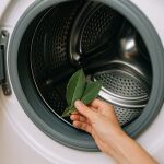 Laurel en la lavadora: la técnica que se usa mucho y por qué