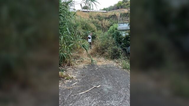Vecinos evitan un incendio forestal en Gran Canaria al descubrir a un hombre prendiendo fuego en el monte