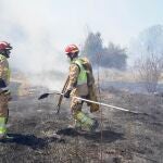 Aumenta el peligro de incendios en varias zonas de Castilla y León