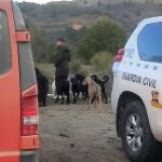 Operación 'Sanctumer'