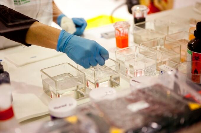 Imagen de archivo de una investigación clínica.