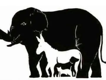 La cantidad de animales que encuentres revela tu edad mental: ¿Cuántos eres capaz de ver?
