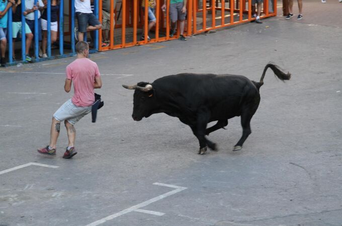 La Generalitat Valenciana saca a consulta ciudadana su proyecto de reglamento de 'bous al carrer'