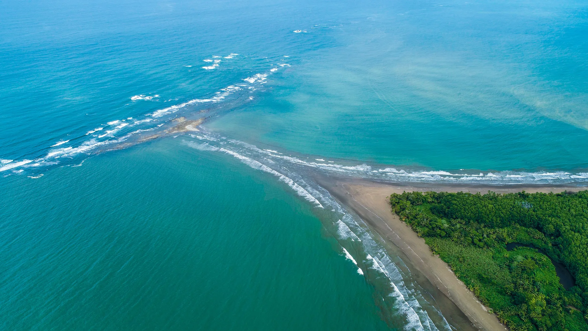 Puntarenas Parque Marino Ballena