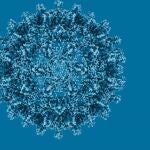 La OMS insta a tomar medidas contra la hepatitis y advierte de que causa más de 1,3 millones de muertes anuales