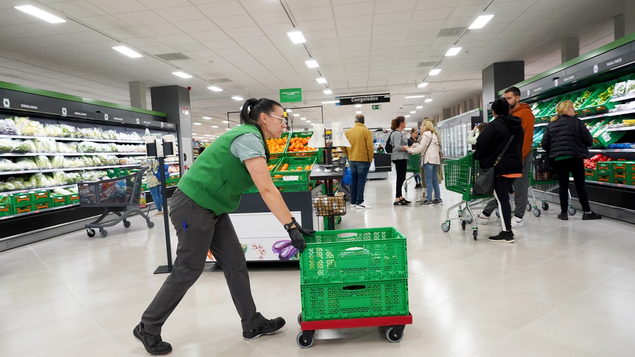 Mercadona lo ha vuelto a hacer: la solución más barata para que la vuelta a la rutina no pese tanto