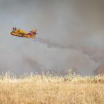 Incendios forestales activos en España, en directo: última hora en Ávila, Tenerife, Zarzalejo, Meaño (Galicia) y Portugal