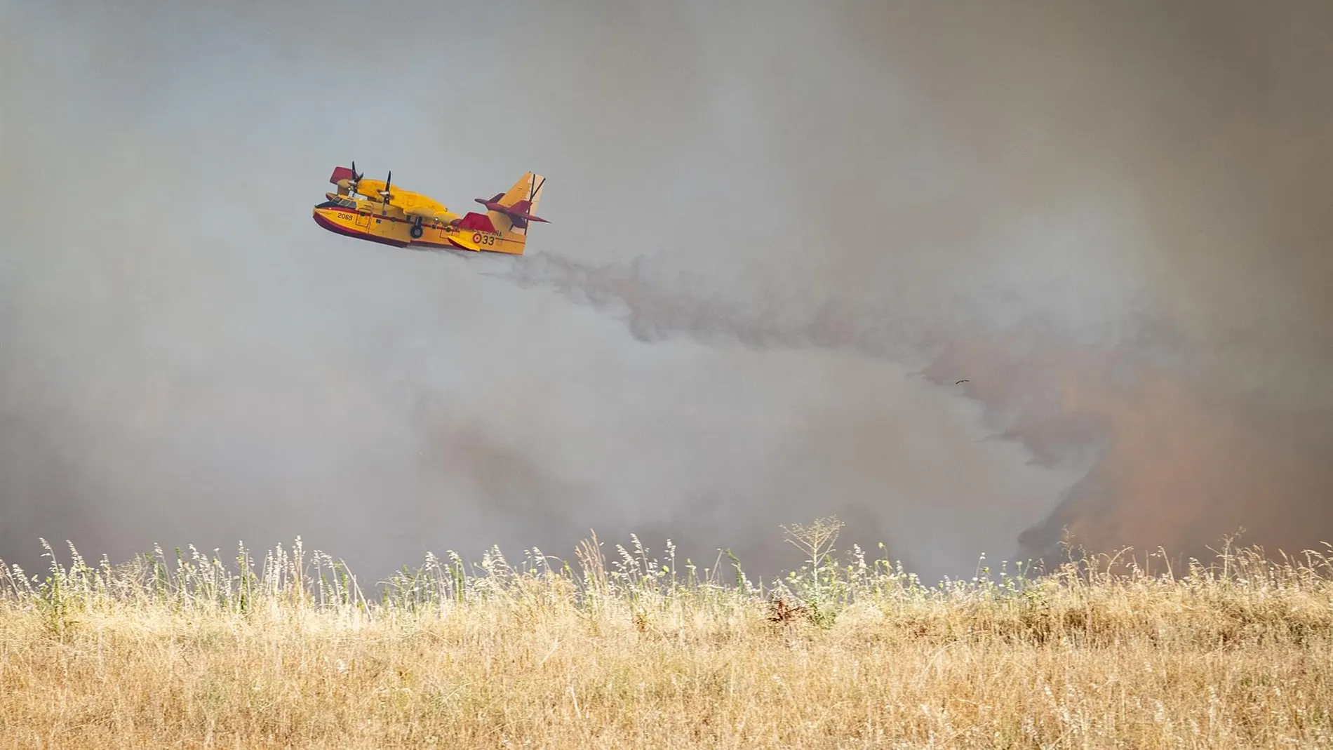 Incendios forestales activos en España, en directo: última hora en Ávila, Tenerife, Zarzalejo, Meaño (Galicia) y Portugal