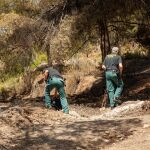 Investigan a un hombre por el incendio de Ibi (Alicante) que arrasó 185 hectáreas y afectó al parque natural de la Font Roja