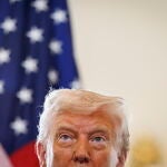 Donald J. Trump