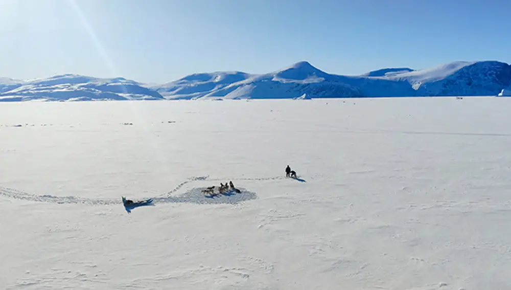 Imagen de trineo con perros tomada durante la expedición en Groenlandia